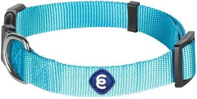 Blueberry Pet Classic Solid Nylon Dog Collar, slide 1 of 1