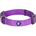 Blueberry Pet Classic Solid Nylon Dog Collar, Dark Orchid, Small: 12 to 16-in neck, 5/8-in wide