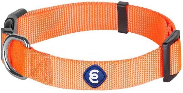 Blueberry Pet Classic Solid Nylon Dog Collar, Florence Orange, Large: 18 to 26-in neck, 1-in wide slide 1 of 6