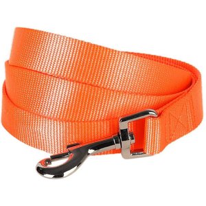 Blueberry Pet Classic Solid Nylon Dog Leash, Florence Orange, X-Small: 5-ft long, 3/8-in wide