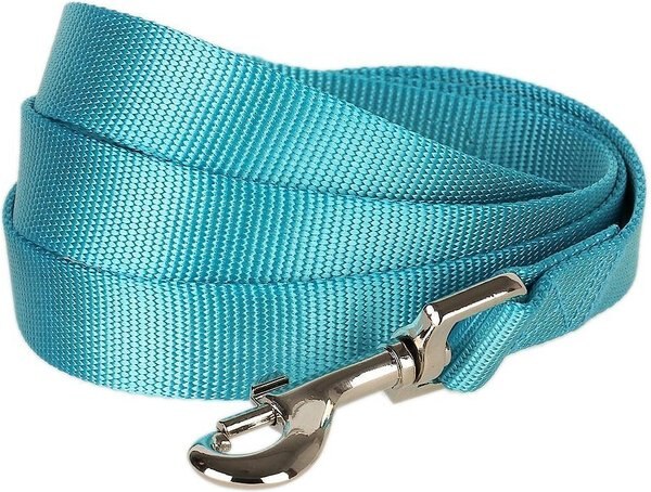 Blueberry Pet Classic Solid Nylon Dog Leash, Turquoise, X-Small: 5-ft long, 3/8-in wide slide 1 of 5