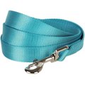 Blueberry Pet Classic Solid Nylon Dog Leash, Turquoise, X-Small: 5-ft long, 3/8-in wide