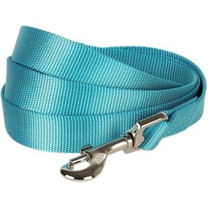 Blueberry Pet Classic Solid Nylon Dog Leash, Turquoise, X-Small: 5-ft long, 3/8-in wide