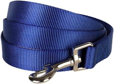 Blueberry Pet Classic Solid Nylon Dog Leash, slide 1 of 1