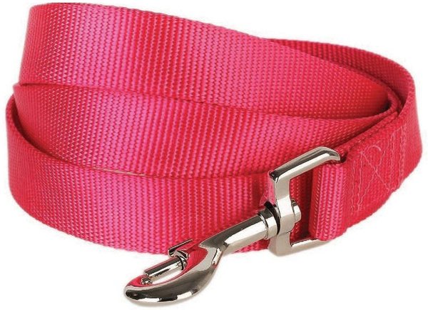 Blueberry Pet Classic Solid Nylon Dog Leash, French Pink, Medium: 5-ft long, 3/4-in wide slide 1 of 5