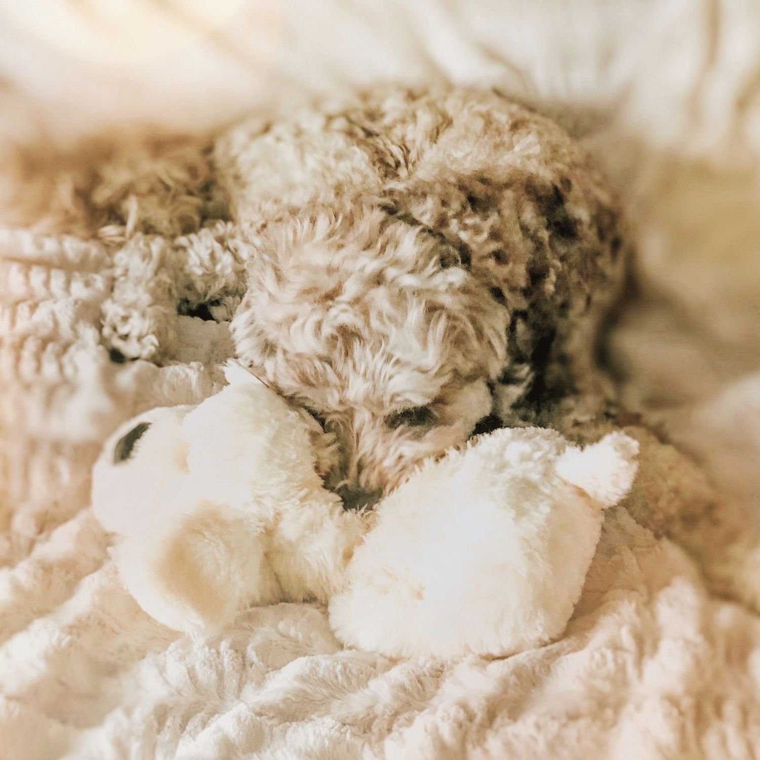 SMART PET LOVE Snuggle Puppy Behavioral Aid Dog Toy, Golden
