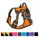 Chai's Choice Premium Outdoor Adventure 3M Polyester Reflective Front Clip Dog Harness, Orange, Small: 17 to 22-in chest