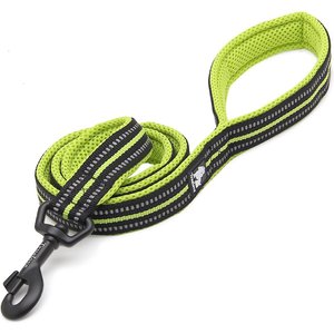 Chai's Choice Premium Outdoor Adventure Padded 3M Polyester Reflective Dog Leash, Green, 6.5-ft long, 1-in wide