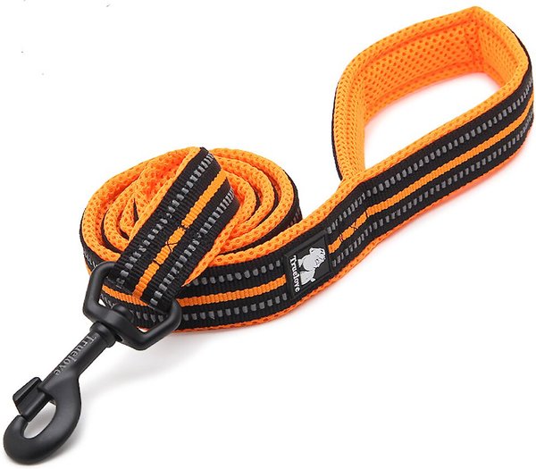 Chai's Choice Premium Outdoor Adventure Padded 3M Polyester Reflective Dog Leash, Orange, 6.5-ft long, 1-in wide slide 1 of 5