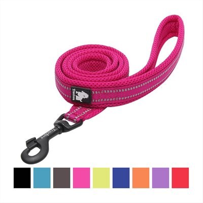 Chai's Choice Premium Outdoor Adventure Padded 3M Polyester Reflective Dog Leash, slide 1 of 1