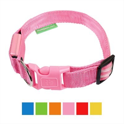 Illumiseen LED USB Rechargeable Nylon Dog Collar, slide 1 of 1