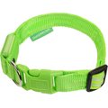 Illumiseen LED USB Rechargeable Nylon Dog Collar, Green, Medium: 16 to 20-in neck