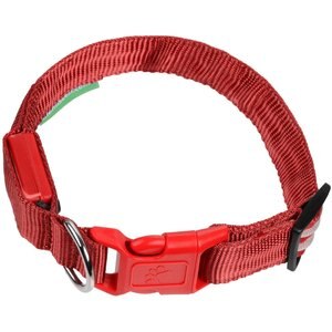 Illumiseen LED USB Rechargeable Nylon Dog Collar, Red, Medium: 16 to 20-in neck