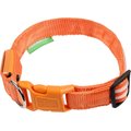 Illumiseen LED USB Rechargeable Nylon Dog Collar, Orange, Medium: 16 to 20-in neck