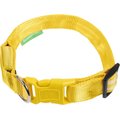 Illumiseen LED USB Rechargeable Nylon Dog Collar, Yellow, Medium: 16 to 20-in neck