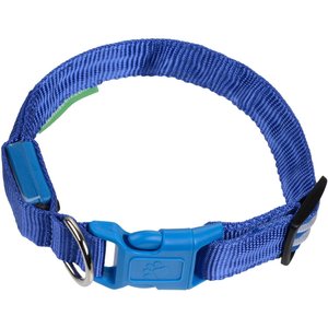 Illumiseen LED USB Rechargeable Nylon Dog Collar, Blue, Large: 19 to 24-in neck