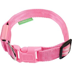 Illumiseen LED USB Rechargeable Nylon Dog Collar, Pink, Large: 19 to 24-in neck