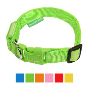 Illumiseen LED USB Rechargeable Nylon Dog Collar, Green, X-Large: 21.6 to 27.5-in neck