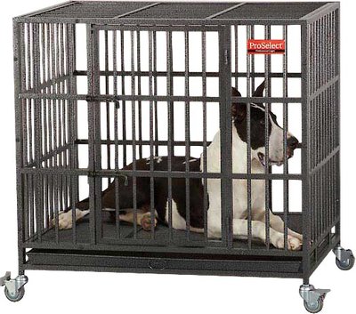 proselect empire dog cage medium
