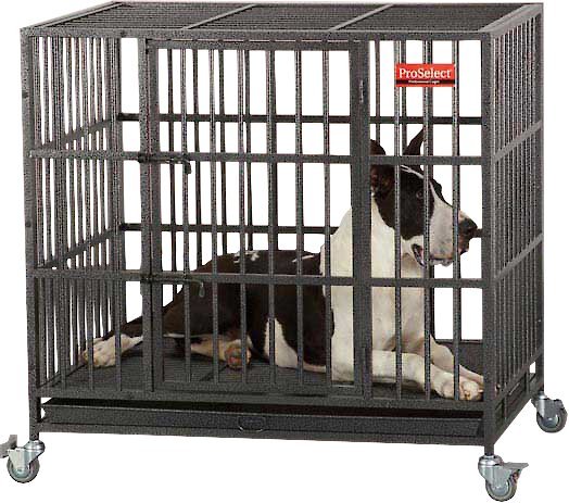 ProSelect Empire Single Door Steel Dog Crate, 41.25-in slide 1 of 7