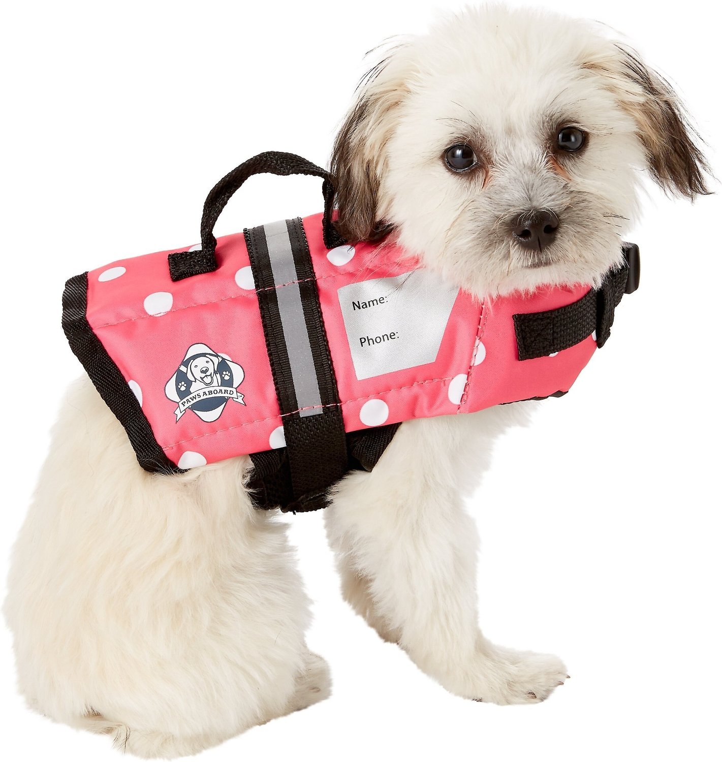 Paws Aboard Dog Life Jacket Size Chart