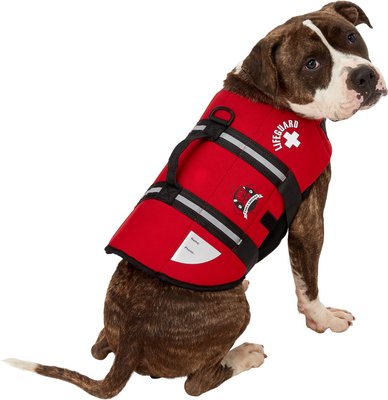 Paws Aboard Lifeguard Neoprene Dog Life Jacket, slide 1 of 1