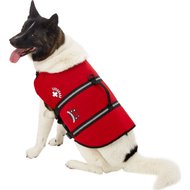 paws aboard neoprene doggy life jacket