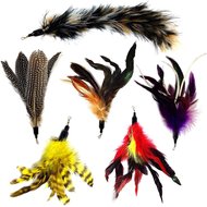 Pet Fit For Life 6 Piece Replacement Feather Pack for Wand Cat Toy