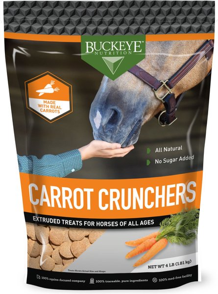 Buckeye Nutrition All-Natural Carrot Horse Treats, 4-lb bag slide 1 of 6