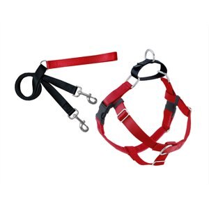 2 Hounds Design Freedom No Pull Nylon Dog Harness & Leash, Red, Medium: 22 to 28-in chest, 1-in wide