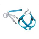 2 Hounds Design Freedom No Pull Nylon Dog Harness & Leash, Turquoise, X-Large: 30 to 36-in chest, 1-in wide