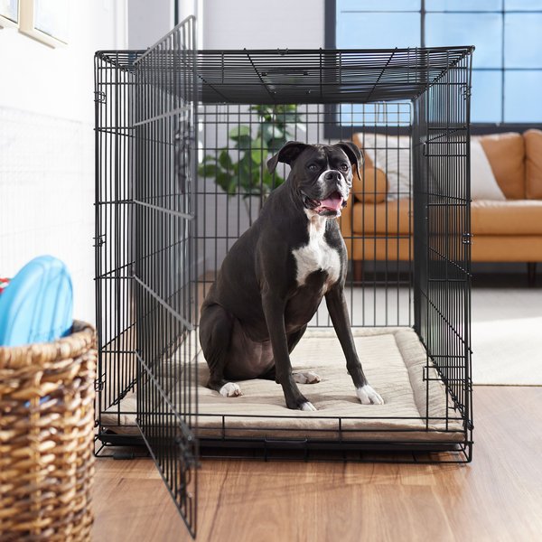 Frisco Heavy Duty Fold & Carry Single Door Collapsible Wire Dog Crate, 48 inch slide 1 of 9