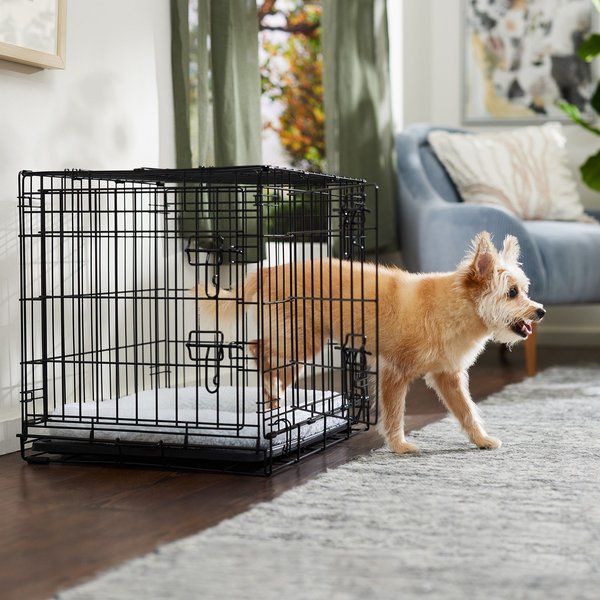 Frisco Heavy Duty Fold & Carry Double Door Collapsible Wire Dog Crate, 24 inch slide 1 of 9