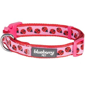Blueberry Pet Spring Prints Nylon Dog Collar, Ladybug, Large: 18 to 26-in neck, 1-in wide