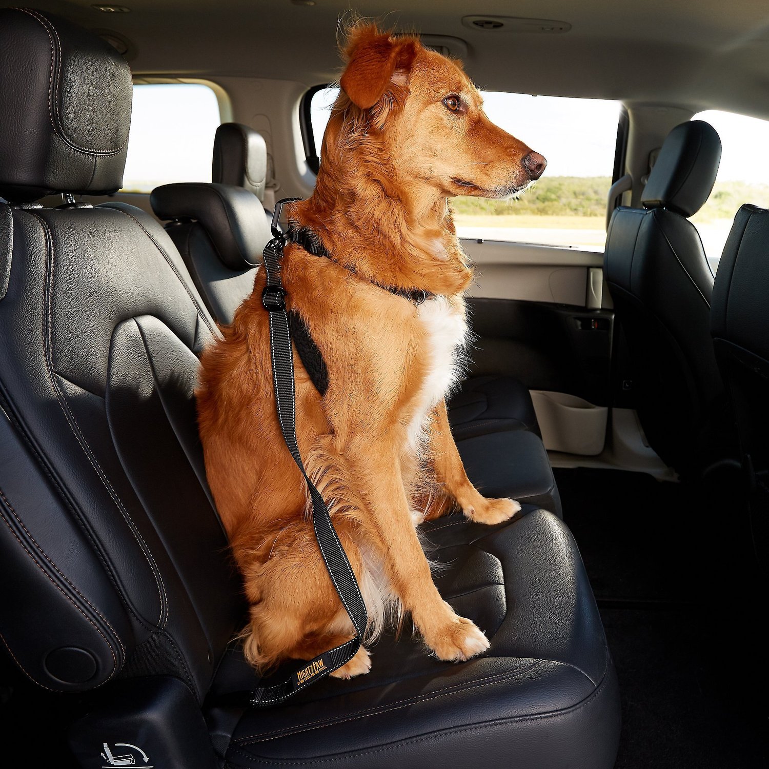 dog car seat belt attachment