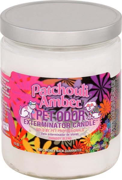 Pet Odor Exterminator Patchouli Amber Deodorizing Candle, 13-oz jar slide 1 of 4