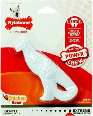 Nylabone Power Chew Dental Chew Chicken Flavored Dinosaur Dog Chew Toy, slide 1 of 1