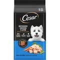 Cesar Rotisserie Chicken Flavor & Spring Vegetables Garnish Small Breed Dry Dog Food, 2.7-lb bag