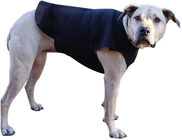 Healers Anxiety Vest for Dogs, Large, Front Module slide 1 of 5