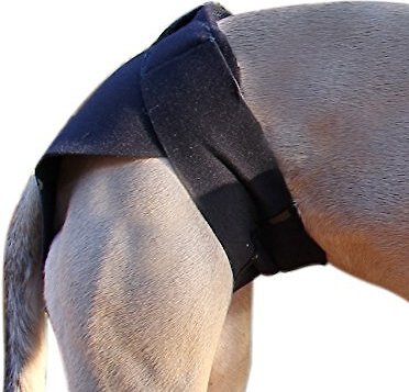 Healers Rear Anxiety Vest for Dogs, slide 1 of 1