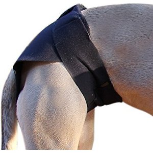 Healers Rear Anxiety Vest for Dogs, Large