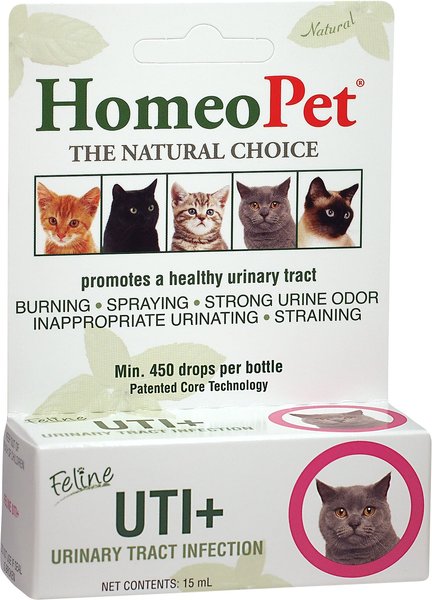 HomeoPet UTI+ Homeopathic Medicine for Urinary Tract Infections (UTI) for Cats, 450 drops slide 1 of 4