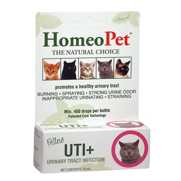 HOMEOPET UTI+ Homeopathic Medicine for Urinary Tract Infections (UTI) for Cats, 450 drops - Chewy.com