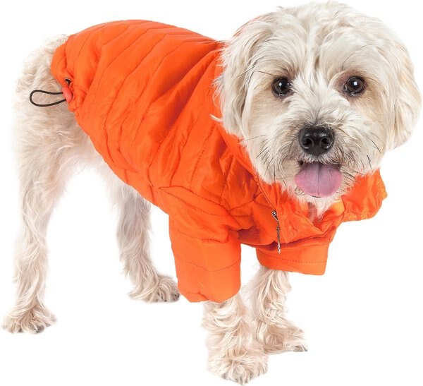 Pet Life Lightweight Sporty Avalanche Dog Coat, Orange, X-Small slide 1 of 8