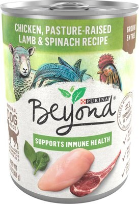 Purina Beyond Grain-Free Chicken, Lamb & Spinach Recipe Ground Entree Canned Dog Food, slide 1 of 1