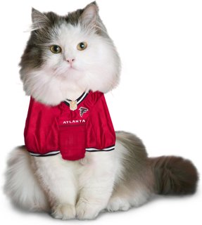 49ers cat jersey