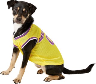 PETS FIRST NBA Dog & Cat Mesh Jersey, LA Lakers, Large - Chewy.com
