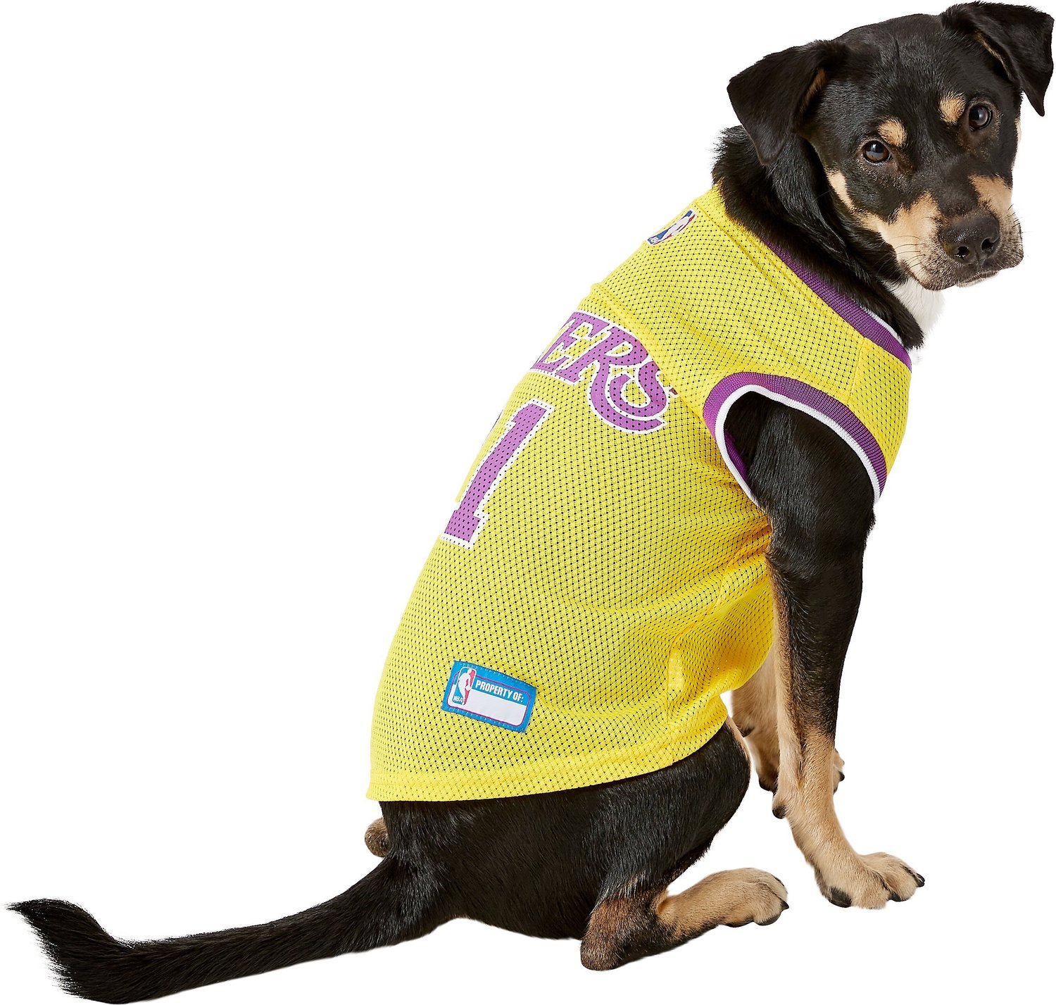 PETS FIRST NBA Dog & Cat Mesh Jersey, LA Lakers, Large - Chewy.com