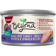 Purina Beyond Grain-Free Turkey, Sweet Potato & Spinach Recipe in Gravy Canned Cat Food, 3-oz, case of 12