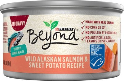 Purina Beyond Grain-Free Wild Alaskan Salmon & Sweet Potato Recipe in Gravy Canned Cat Food, slide 1 of 1